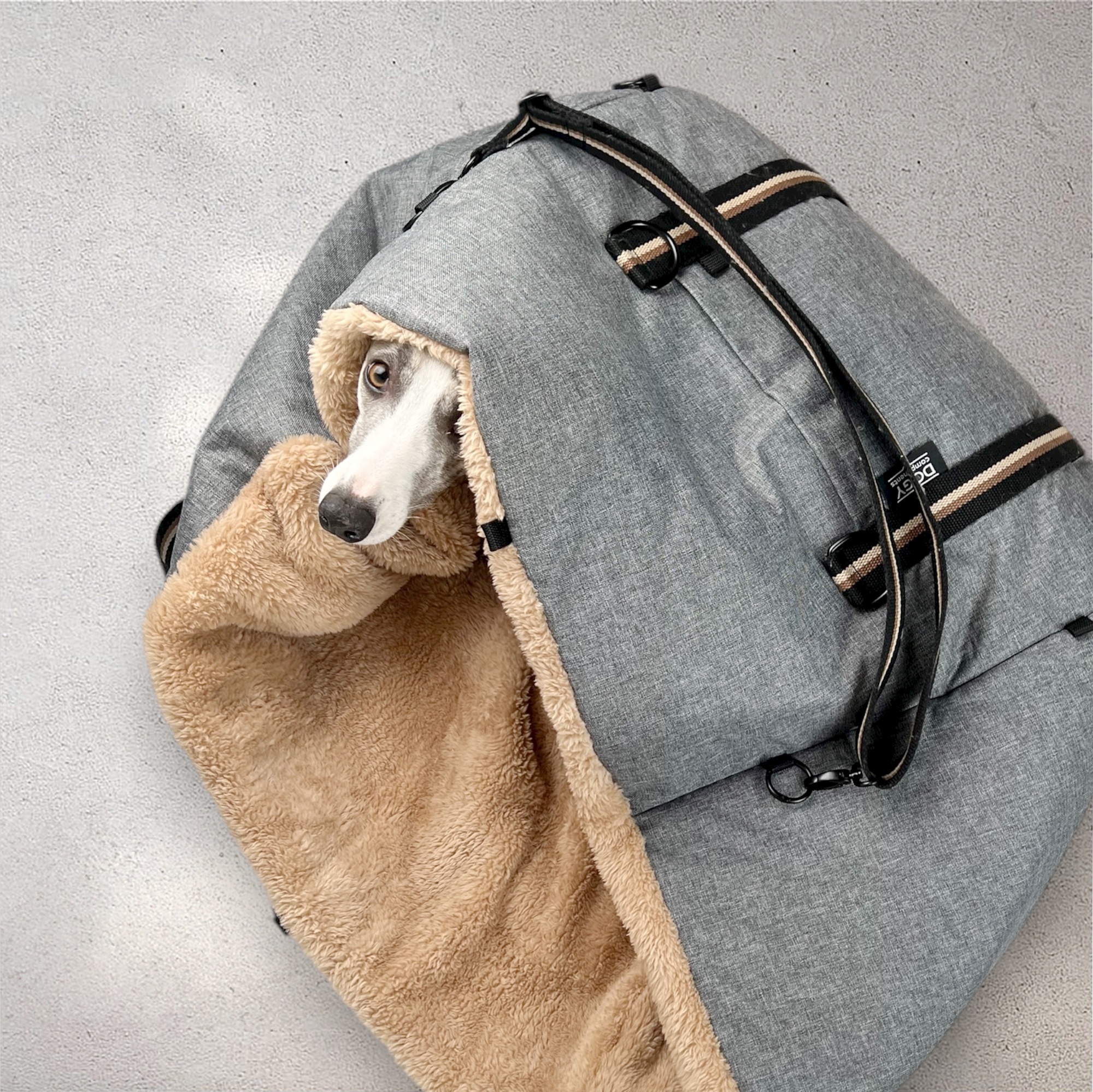 totoo-cestovni-taska-pelisek-spacak-na-psa-multifunkcni